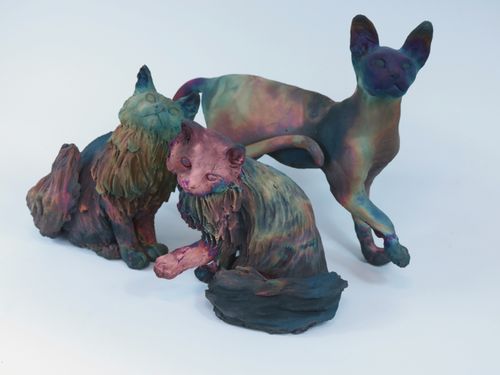 Domestic Cats
