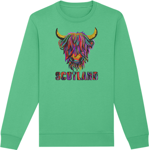 Colourful Highland Cow