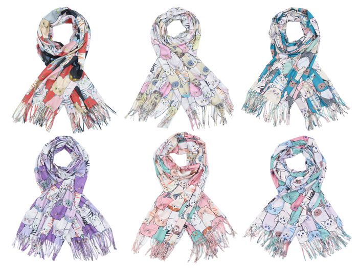 Cashmere Pashmina Cats