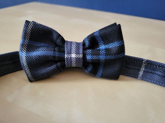 Ancient Patriot Tartan Dog Collar, lead and bowtie