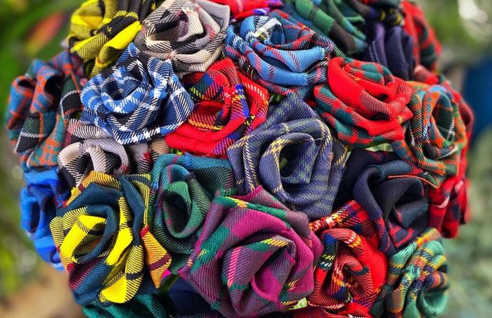 Tartan Roses