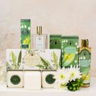 Bath & Body Collection