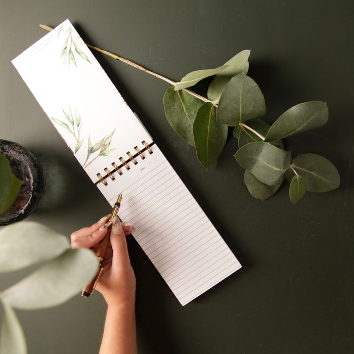 Stationery by Meg Hawkins