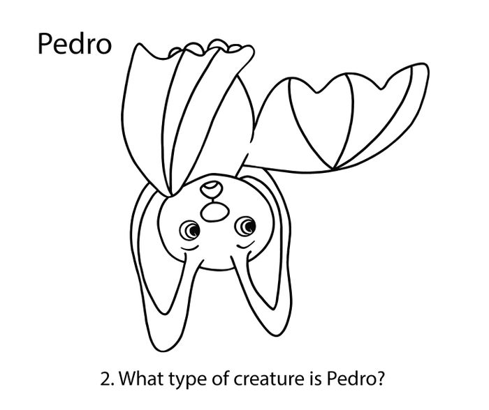 The Scary Noise Colouring Book