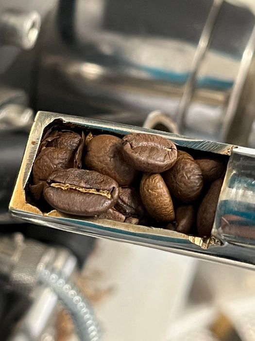 Little Birdie Freshly Roasted Coffee 250g