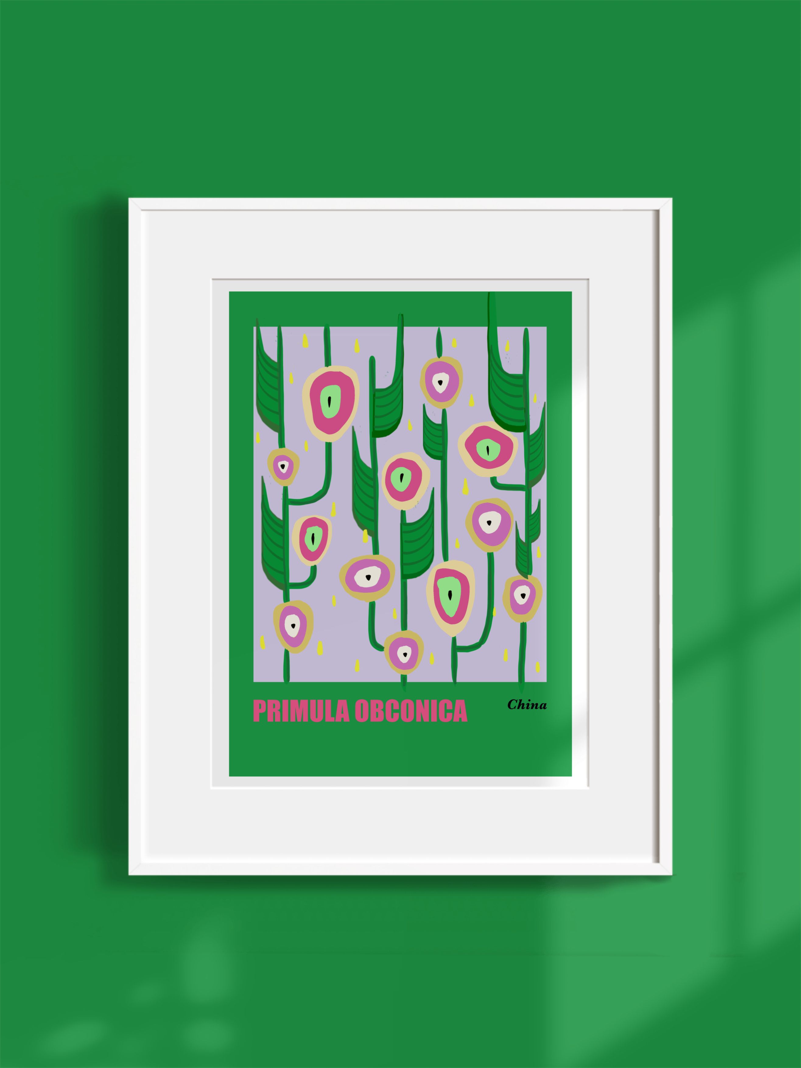 Primula Obconica Art Print