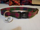 Glasgow Tartan