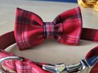 McDougal Tartan