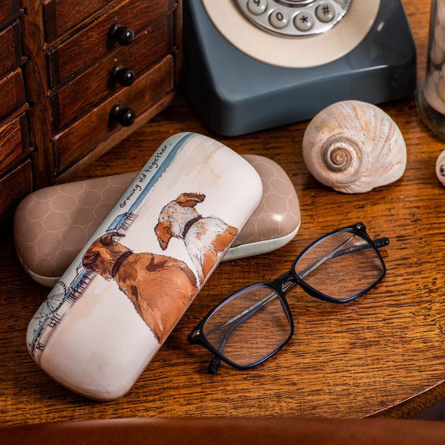 Glasses Cases | Accessories Collection
