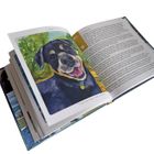 A Dogs Life Gift Book in Partnership with Dogs Trust