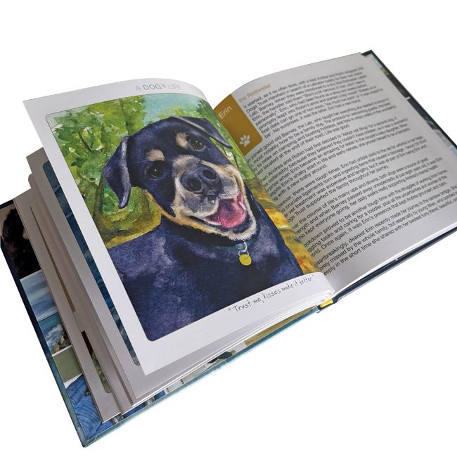 A Dogs Life Gift Book in Partnership with Dogs Trust