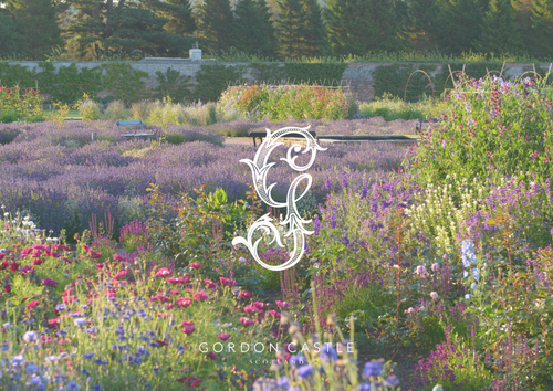 LookBook - Our Journey