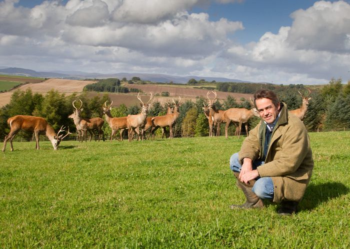 Pitscandly Farm Venison