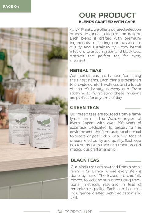 Sales Brochure IVA Plants Jan 2025