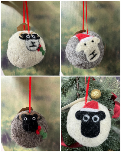 FESTIVE product brochure