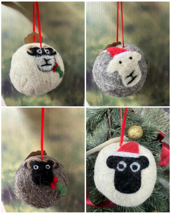 FESTIVE product brochure