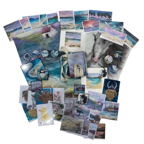 Jan 2025 Special Offer