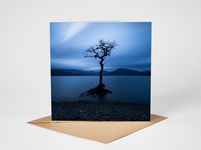 Free Carriage on all Scottish Trade Fair orders