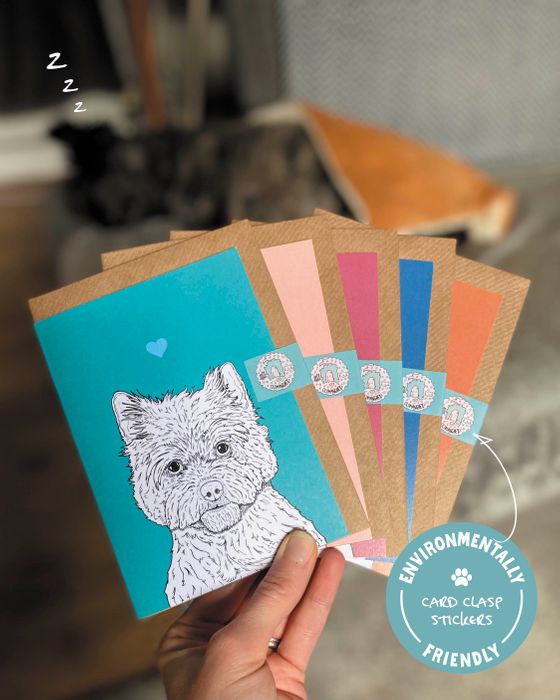 Pop Colour A6 Pet-Themed Cards