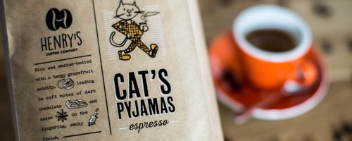 The Cat's Pyjamas