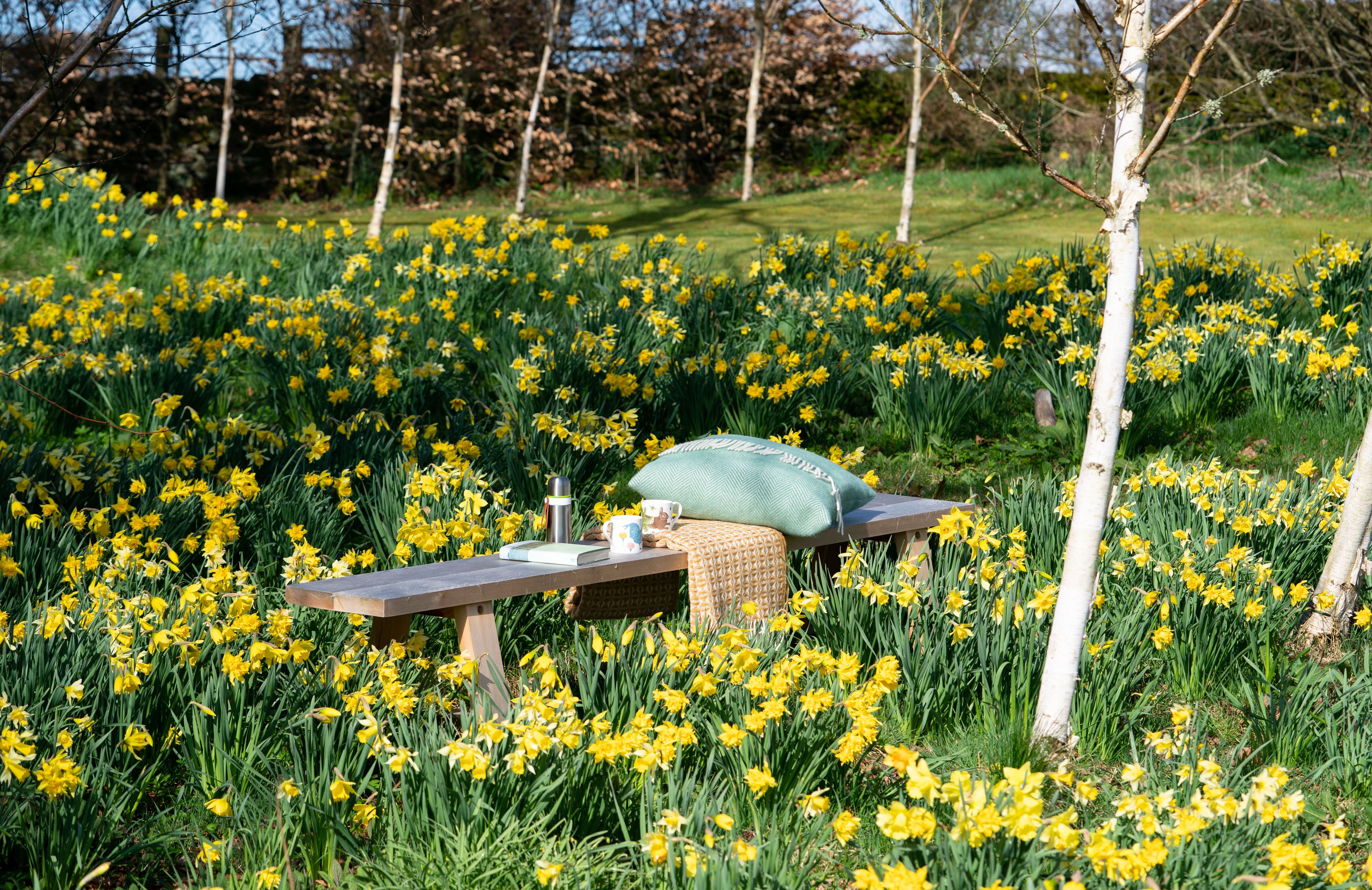 Scottish blankets on a bench with spring flowers