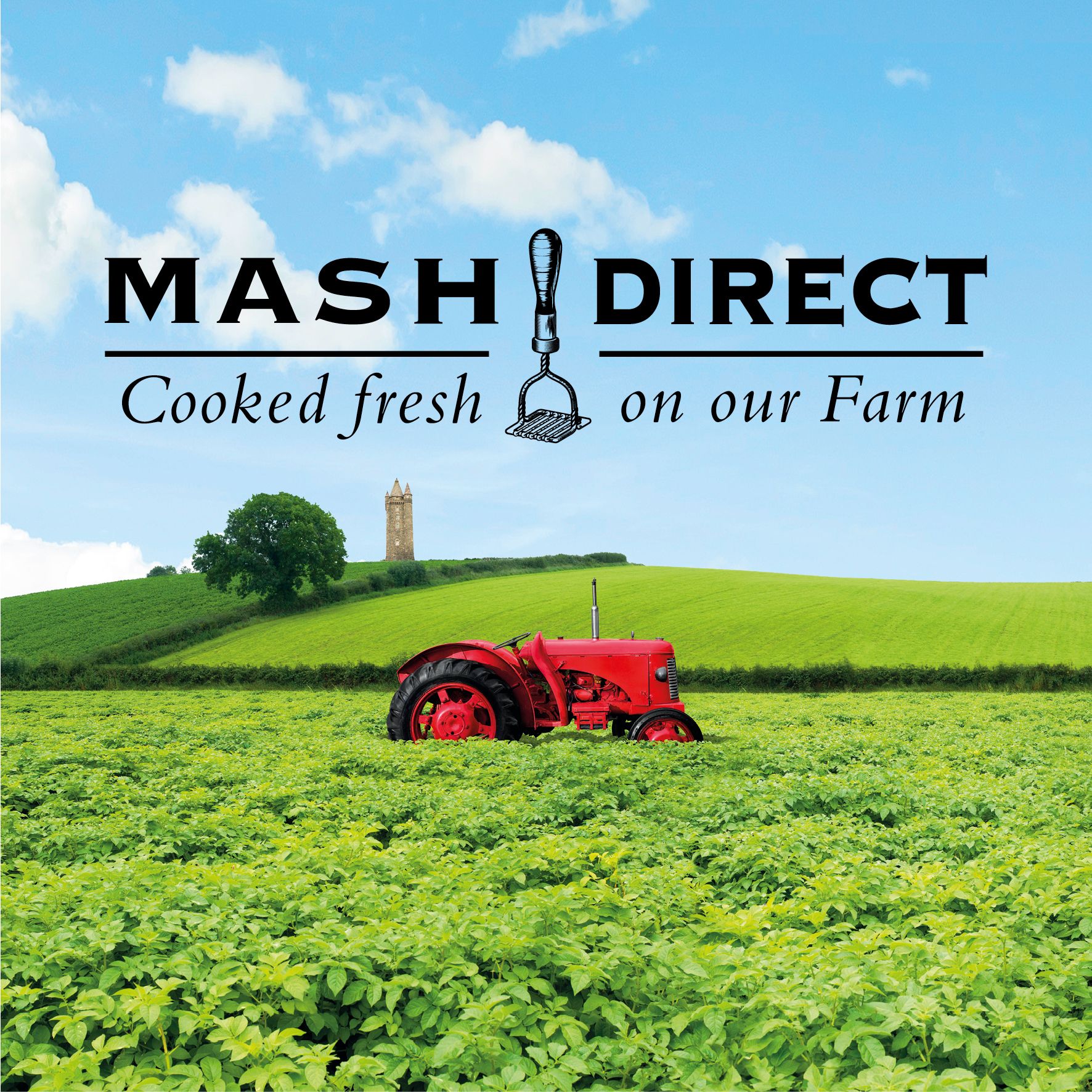 Mash Direct