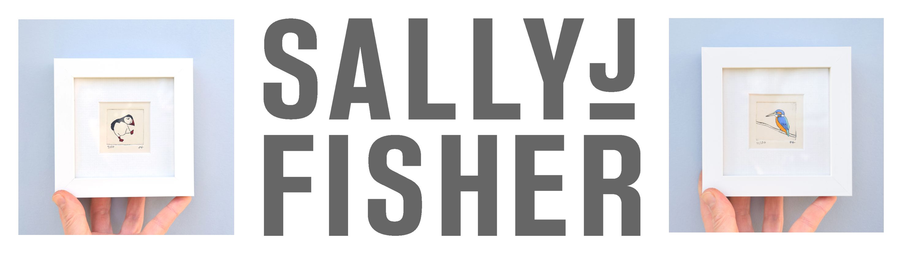 Sally J Fisher