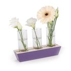 All-in-a-row Vase - large