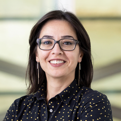Speaker profile image for Sahika Inal