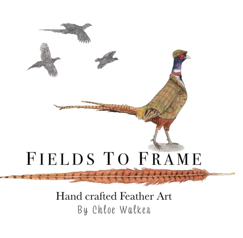 Fields to Frame