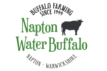 Napton Water Buffalo