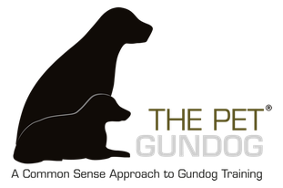 The Pet Gundog