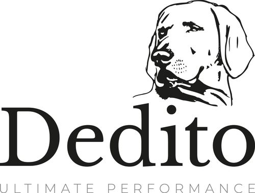 Dedito Boots Ltd