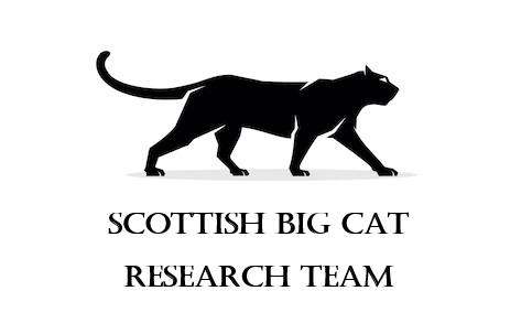 Scottish Big Cat Research