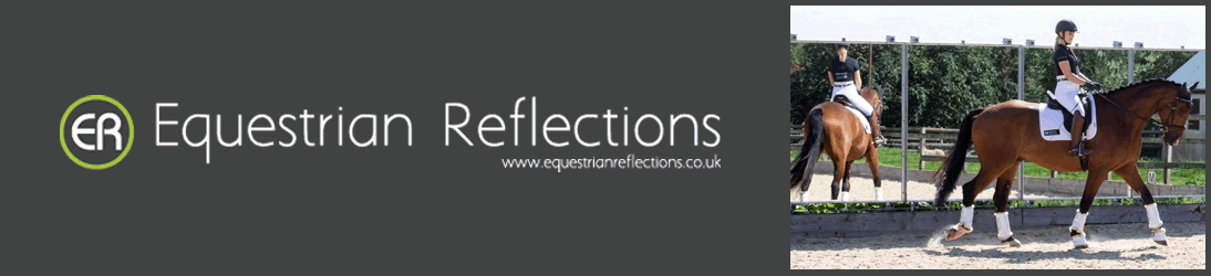 Equestrian Reflections