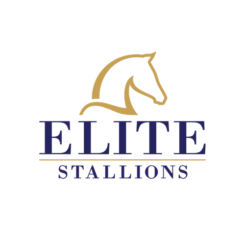 Elite Stallions