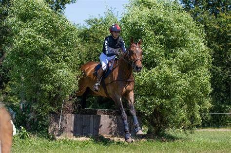TT Equestrian Deals