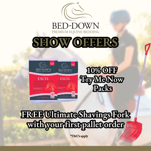 Bed-Down Show Offers