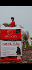 Excel Plus