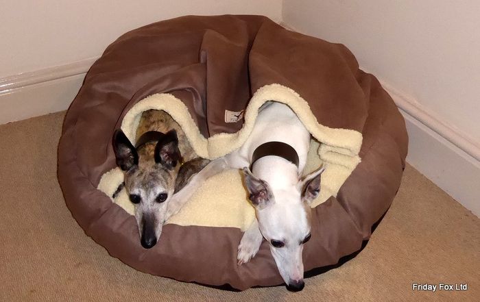Friday Fox Mocha Cosy Cave Beds