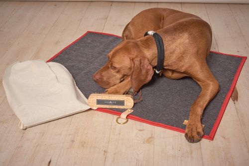 Luxury Dog Settle Mat