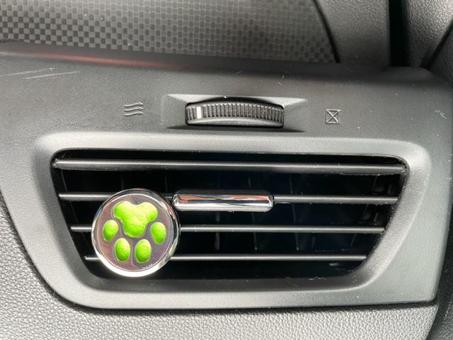 Car Diffusers