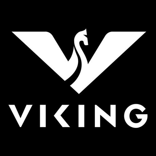 Viking Arms