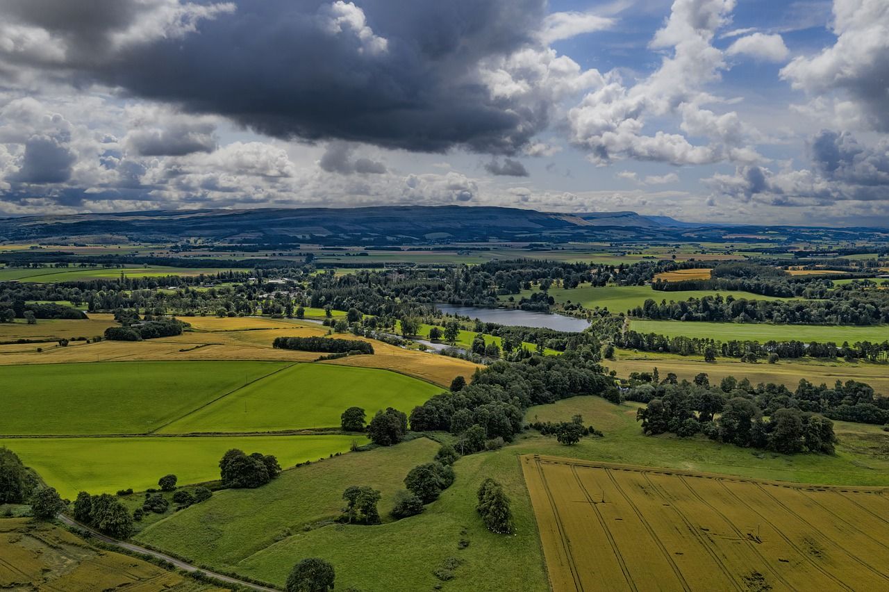 Scottish Land and Estates