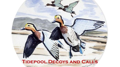 Tidepool Wildfowling