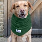 Green Snood