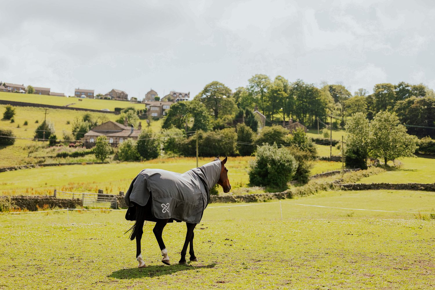 Cross Section Equestrian
