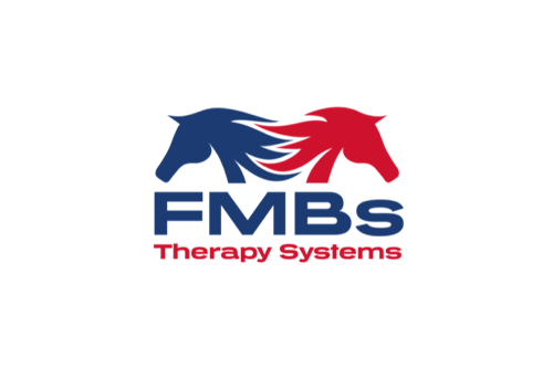FMBs Therapy Systems