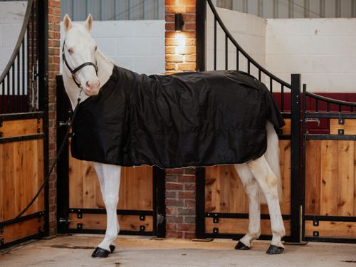 Laminate vs. Traditional Horse Rug Fabrics: How Performance Liners Are Changing the Game
