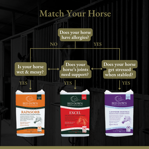 Choosing the right horse bedding matters 